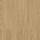 50-LVP-207 Rocky Mountain Oak