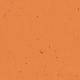 50227 Safflower