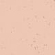 50231 Rosebud