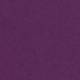 50232 Eggplant