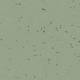 50236 Thyme