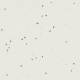 50432 Silver White