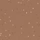 50441 Bronze