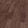 56288 Scarlet Oak