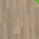 5800 Classic Oak Light