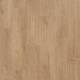 89131 Strong Oak