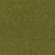 224 Deep Forest