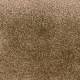 248 Taupe