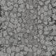 308074 Limestone