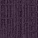 346713 Elderberry
