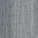 4191005 Silver Birch
