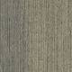 4191004 Elm