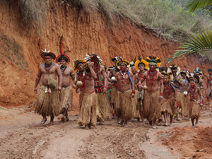 Histoire du Brésil » Vacances Arts Guides Voyages