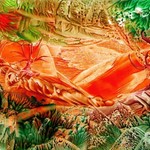 Oranžový-svět