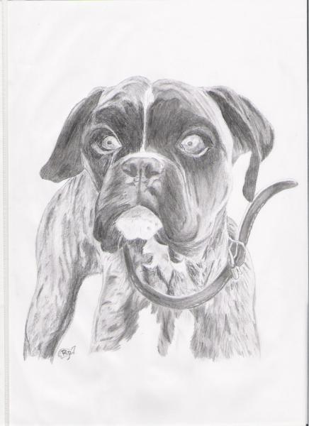 Cofee-boxer