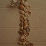 obrazMUSLE43X49