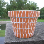P7020029