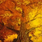 2008-Slunce-ve-větvích