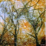 2008-Stromy