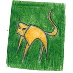 kater