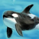 Orka
