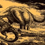 The-Mesozoic-2