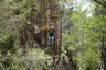 Adventure_tree_circuit_ordino_pic6_96x64
