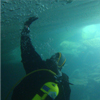 Inmersion_bajo_hielo_arcalis_100x100