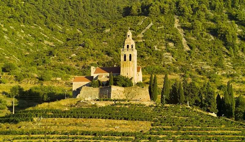 Vineyards fields set a mediterranean landscape
