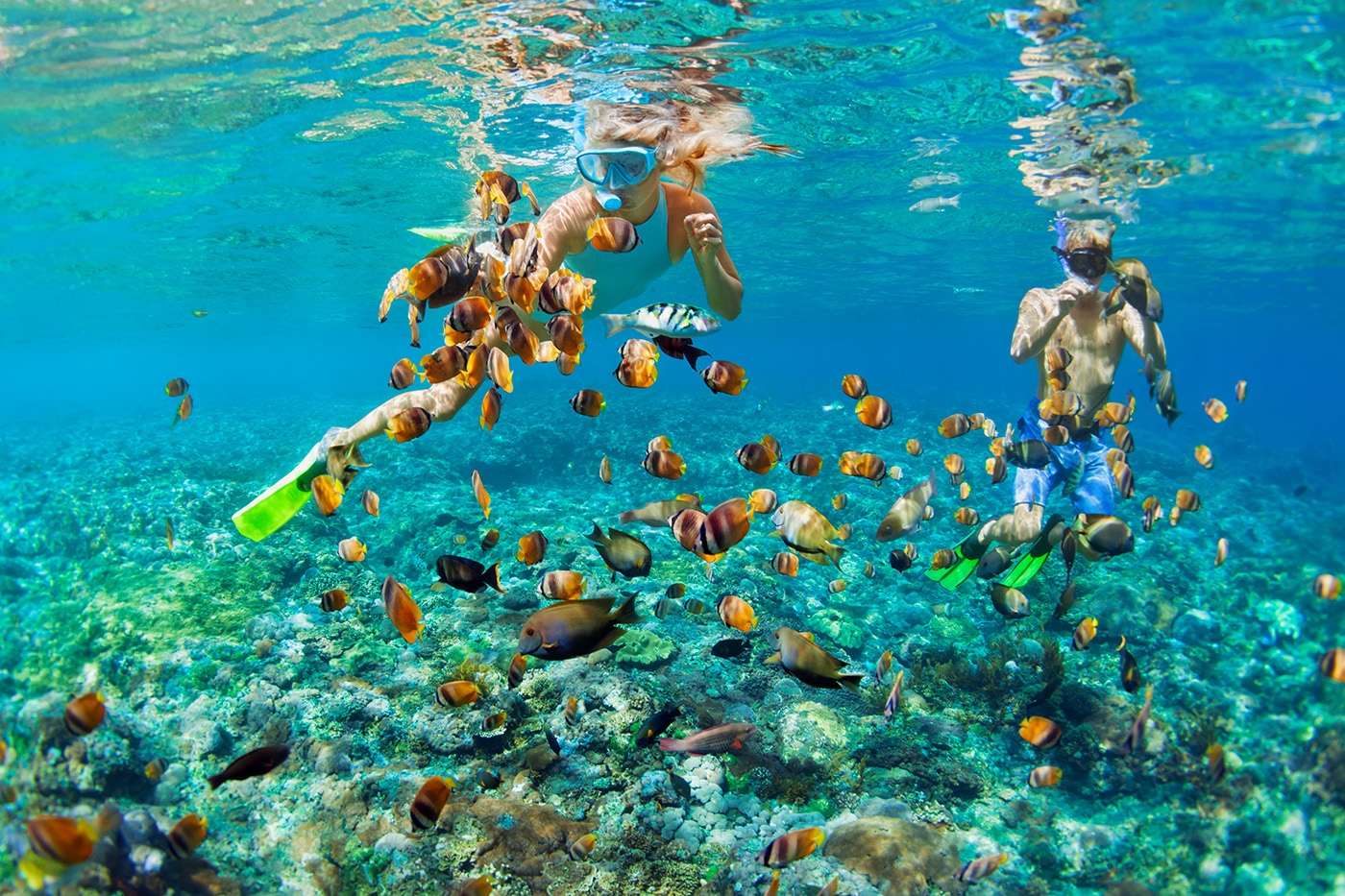 Caribbean yacht charter: Family swimming among colorful fishes
