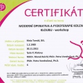 Zvětšit obrázek: certificate 8