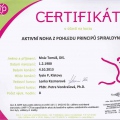 Zvětšit obrázek: certificate 2