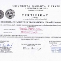 Zvětšit obrázek: certificate 6