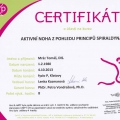 Zvětšit obrázek: certificate 3