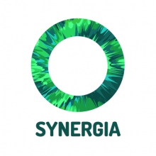Poradnia Psychologiczna SYNERGIA