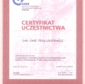 Powiększ obraz: certificate 13