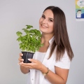 Katarzyna Winiarek