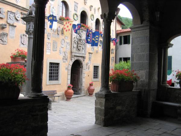 Immagine di copertina