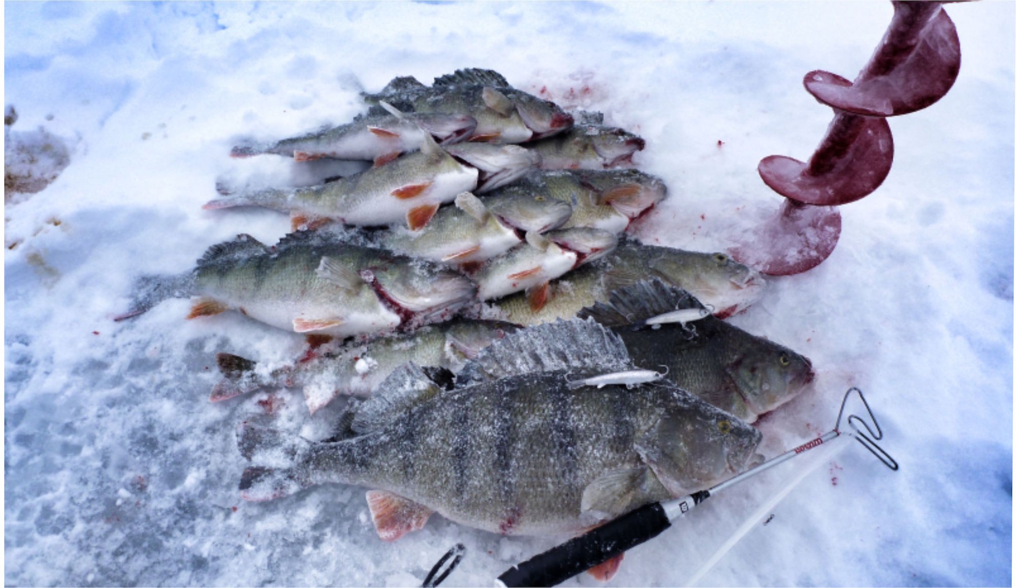 Puruvesi 100 luontohelmeä