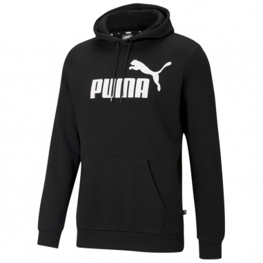 Essential Big Logo Hoody