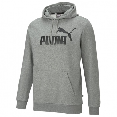 Essential Big Logo Hoody