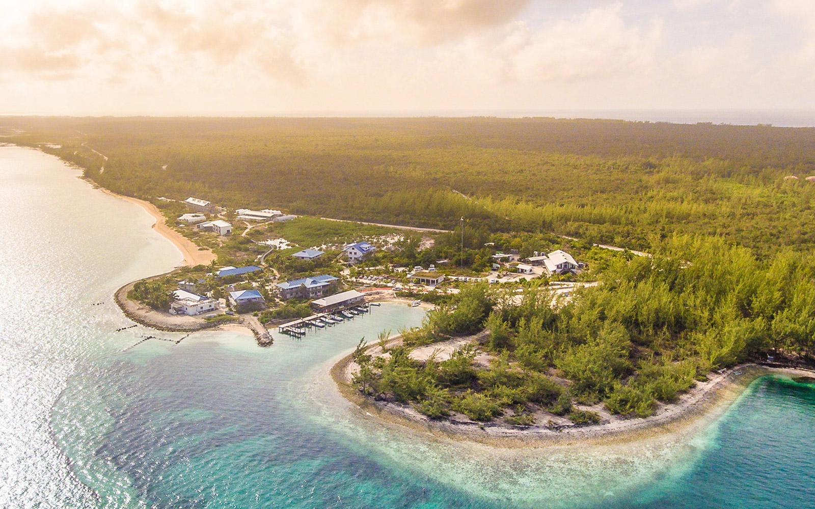 Cape Eleuthera Institute banner