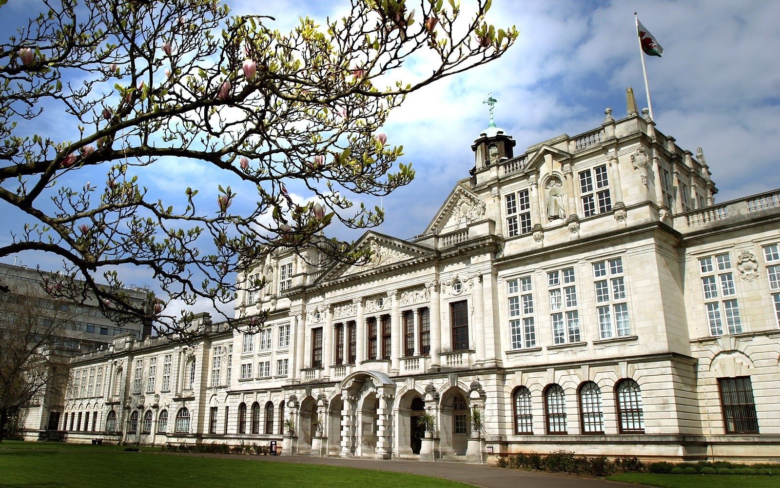 Cardiff University banner