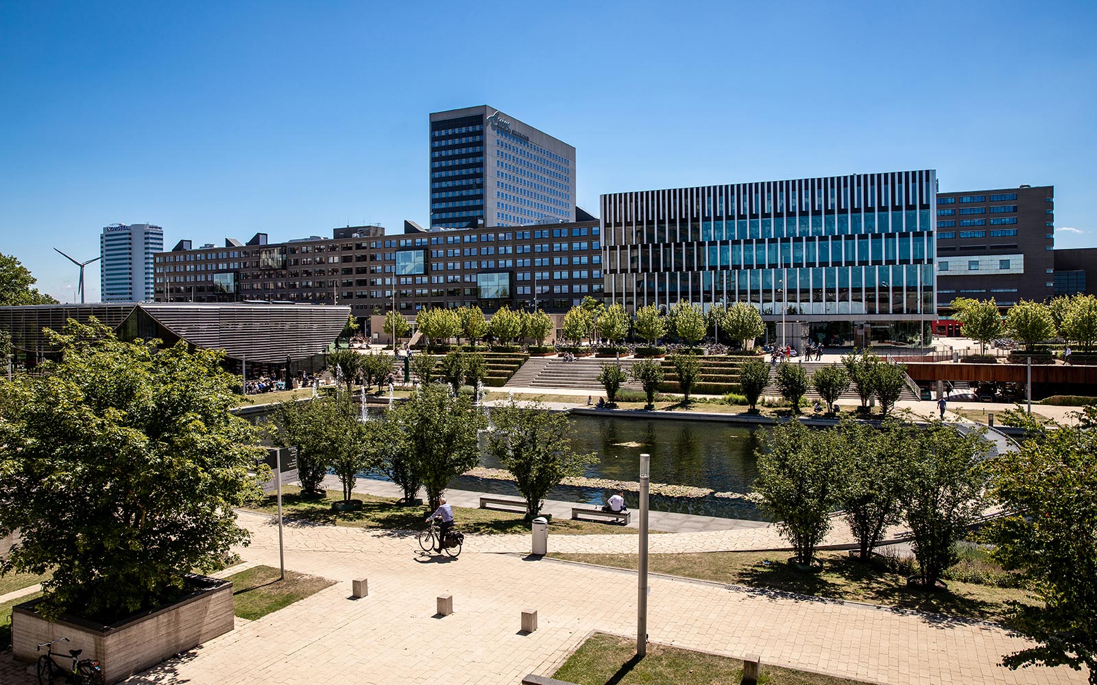 Rotterdam School of Management banner