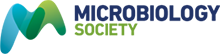 Microbiology Society logo