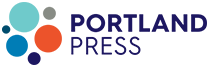Portland Press logo