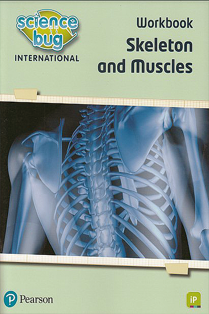 Skeletons And Muscles Workbook