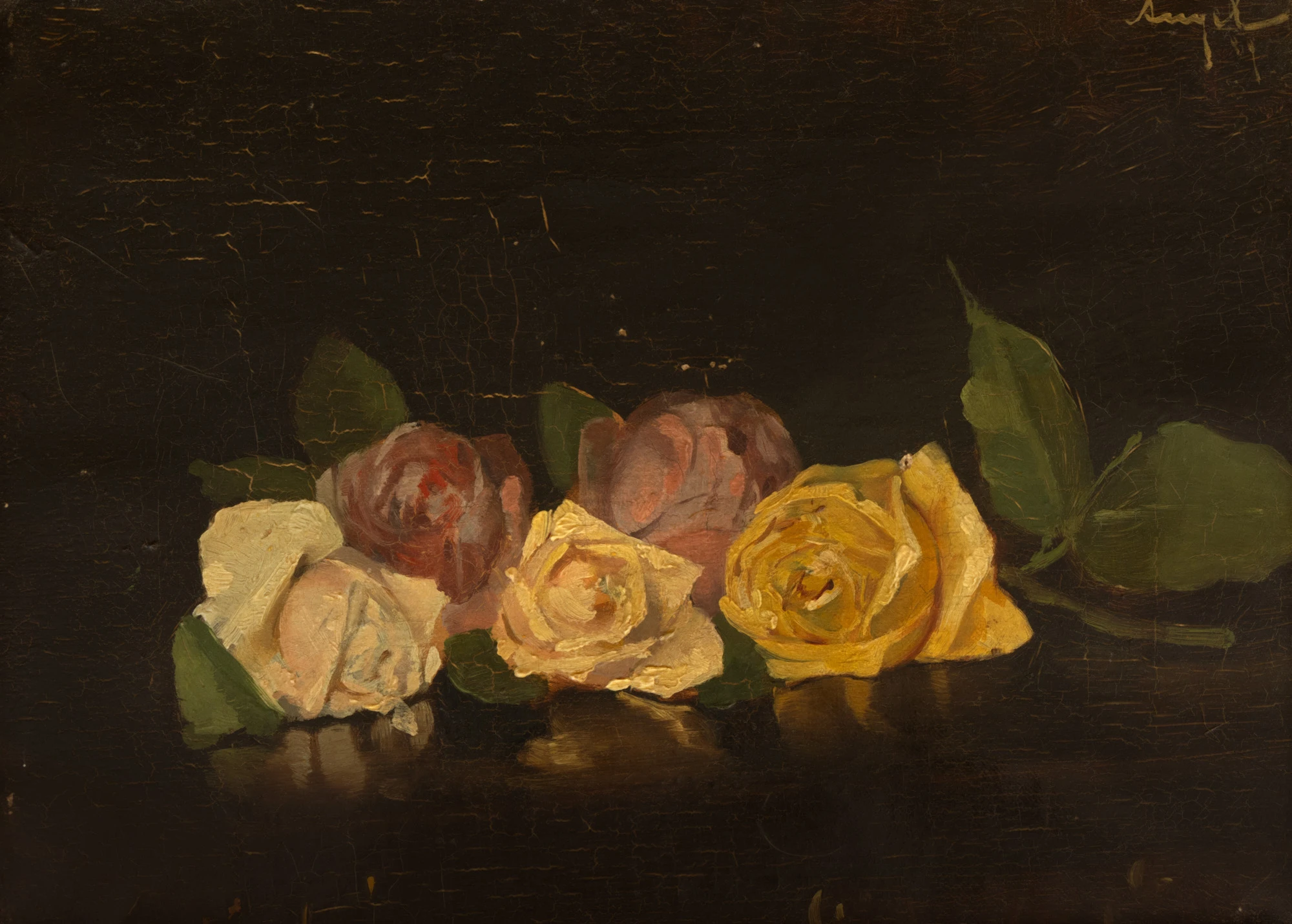 Roses