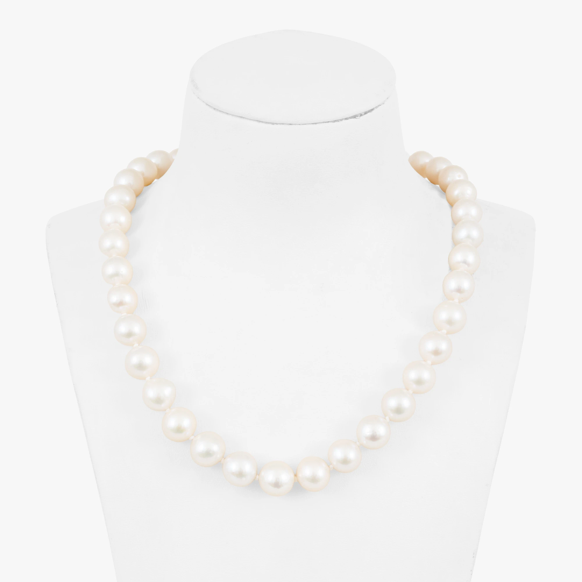 Pearl necklace decorated with a gold clasp