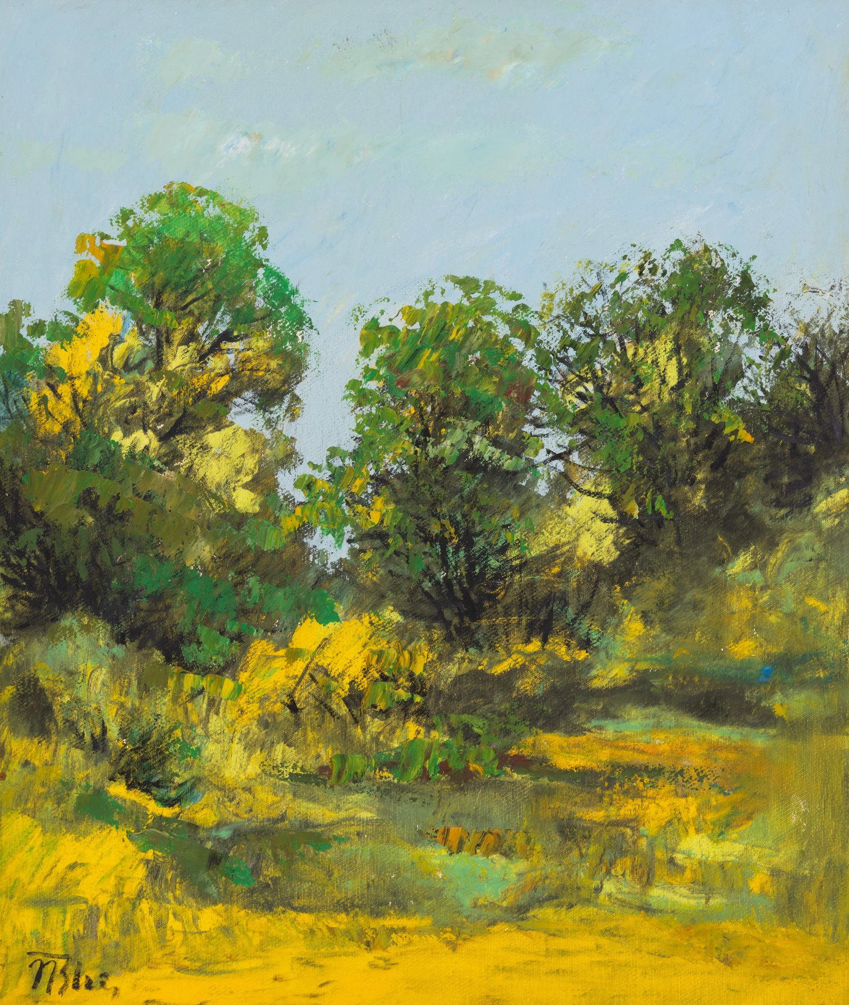 Summer at the Borders